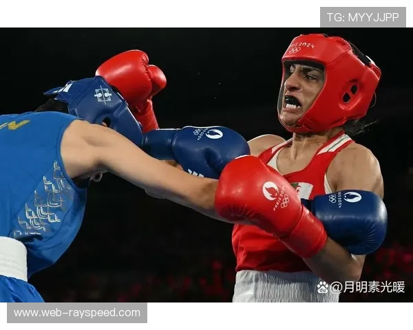 拳击历史档案数字化，经典比赛与选手资料库向公众开放